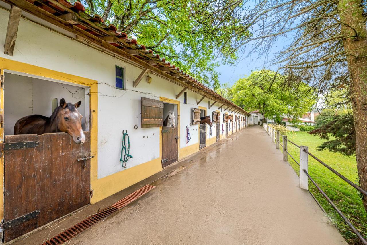 Villa Quinta Do Boicao Lisboa Exterior foto